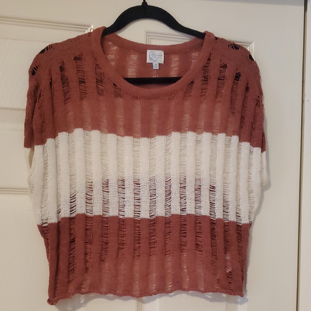 Francesca's Collections Striped Rust and Cream Crop Top